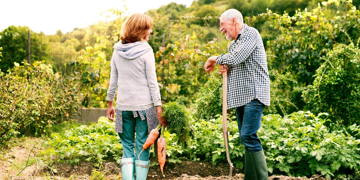 People talking on an allotment